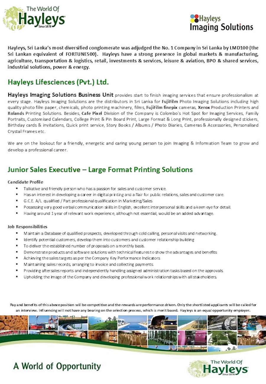 Junior Sales Executive Large Format Printing Solutions At Hayleys Group