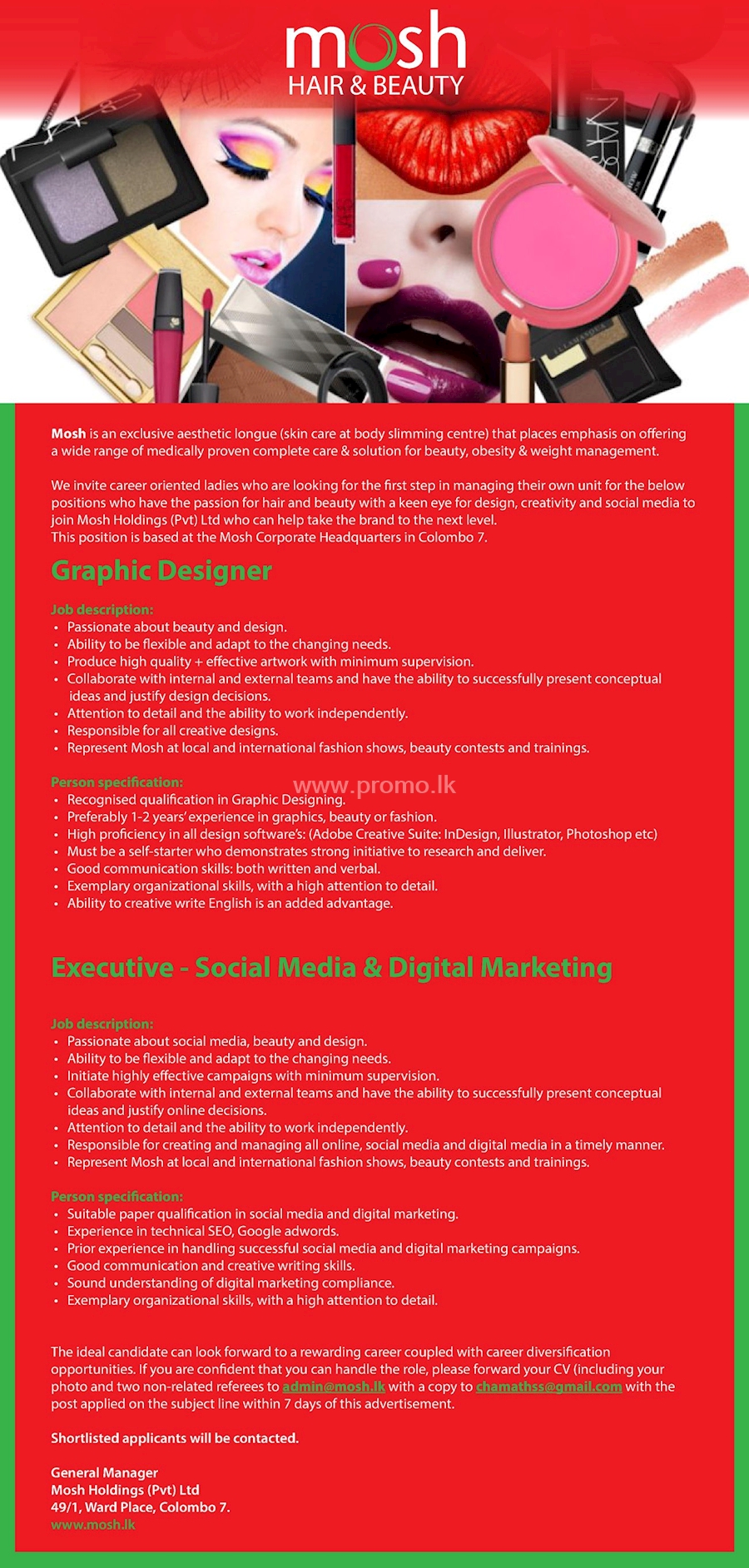 Graphic Designer / Executive - Social Media and Digital Marketing at Mosh