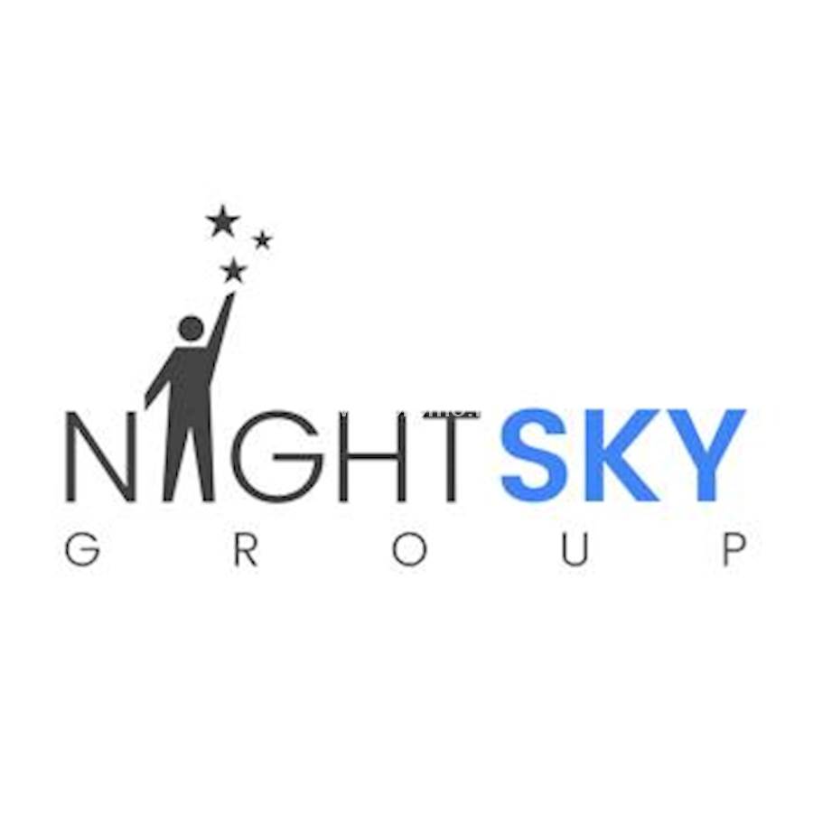 Night Sky Group Pvt Ltd logo