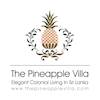 The Pineapple Villa