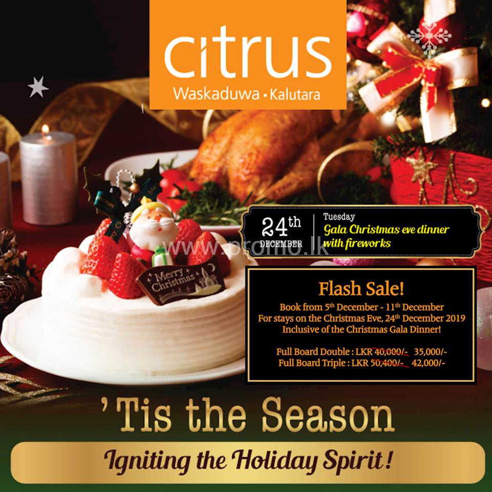 Enjoy this CHRISTMAS EVE with Citrus! Major savings on your bookings for this Christmas Eve at