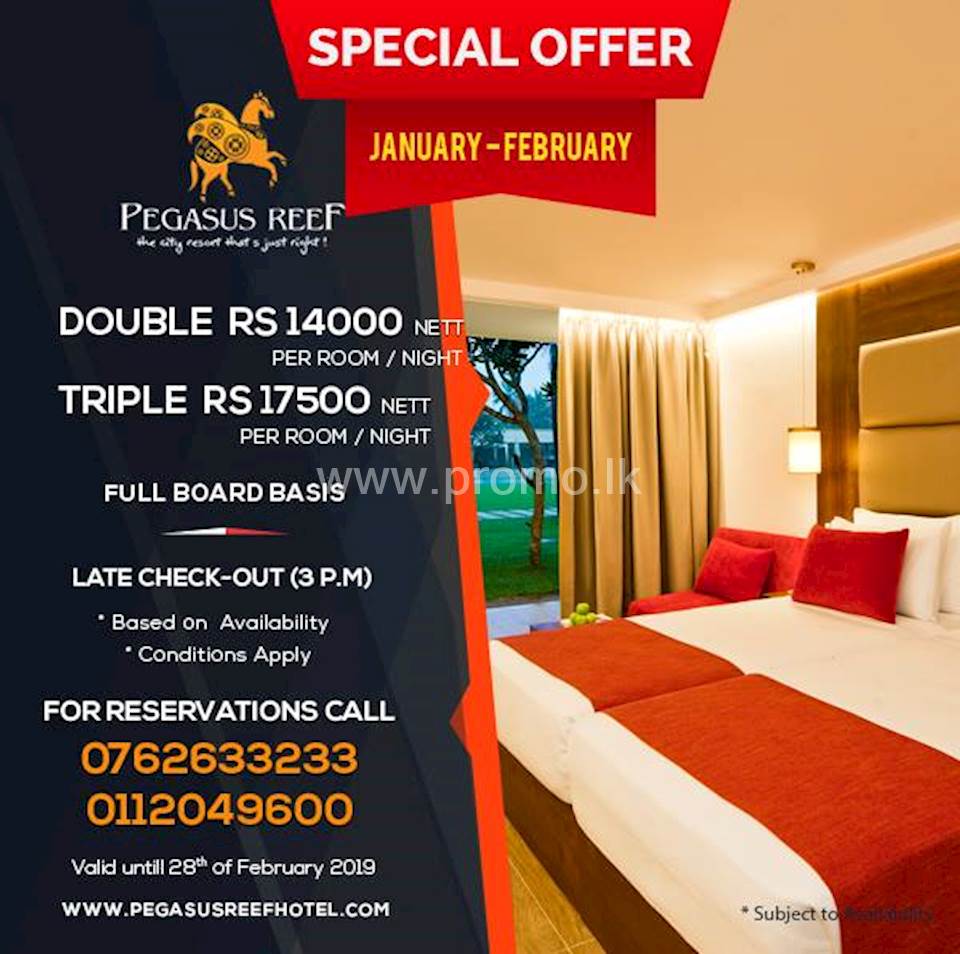 special-offer-at-pegasus-reef