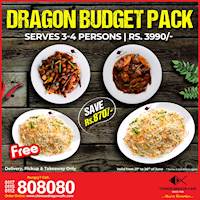 Dragon Budget Pack