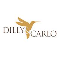 20% off for HNB Credit Cards at Dilly & Carlo
