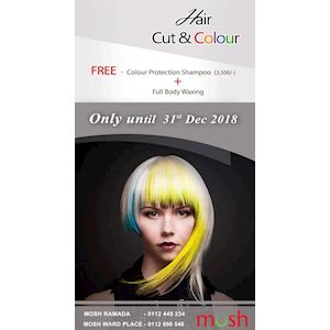 Hair Cut & Colour at Mosh