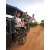 Yala national park full day jeep safari tours 