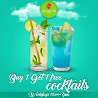 Buy 1 Get 1 Free Cocktails at The Lion Pub