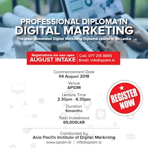 Professional Diploma in Digital Marketing at APIDM